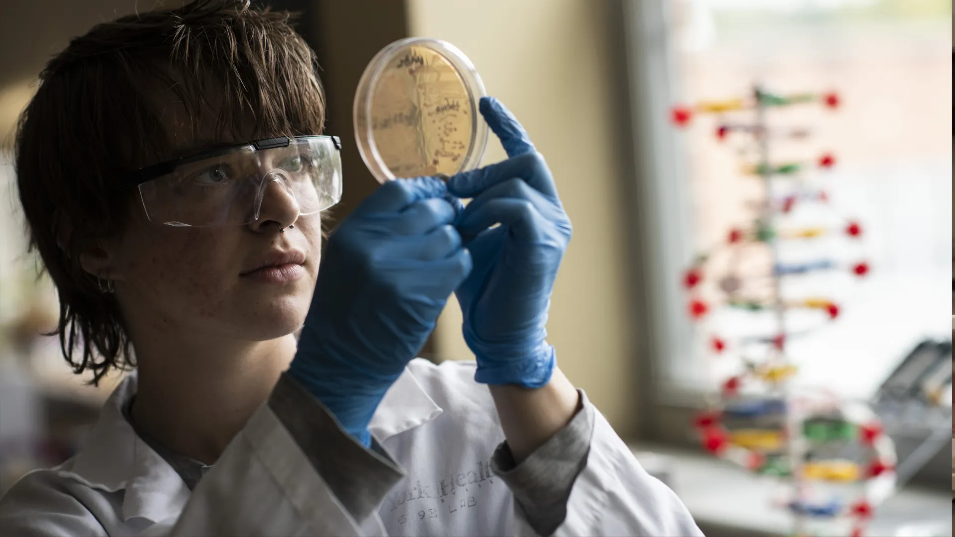 A student wearing gloves, safety goggles, and lab coat examines a petri dish