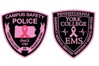 Pink Project badges