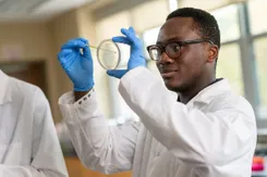 A student wearing a white coat, glasses, and latex gloves swabs a petri dish in a lab classroom.