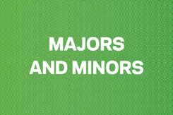 Majors and Minors Button