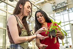 Professor AnaLu McVean holds up a plant in the greenhouse as a student examines it.