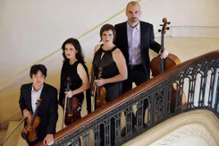 The four members of the Jupiter String Quartet stand on a staircase, dressed in formalwear, each holding their instrument (two violins, one viola, and a cello)