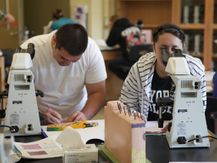 Biology students work in lab space