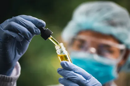 A scientist in protective goggles, hairnet, mask, and gloves, squeezes a pipette into a vial of cannabis oil. 