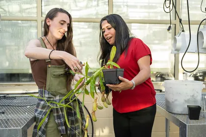 A student wearing overalls holds a leafy green plant in the middle of a greenhouse as a professor assists. 