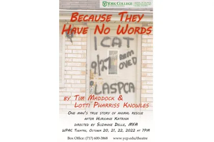 because they have no words event poster 