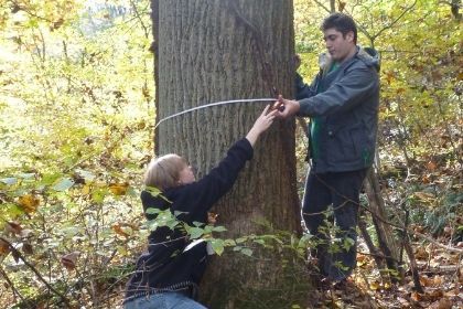 Two students using a piece of string to measure the width of the trunk of a tree