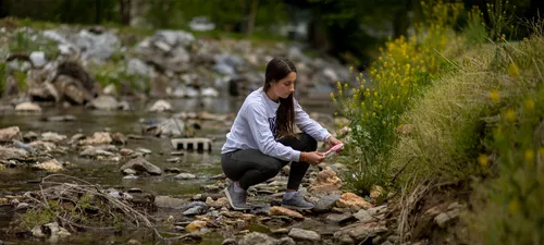 A student crouches in long grass by the creek to collect environmental samples.