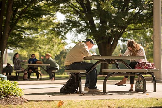Students studying on main campus picnic tables.