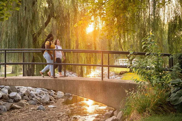 Two students walk across the bridge over Tyler Run Creek as the sunrise peeks through the willow trees behind them.