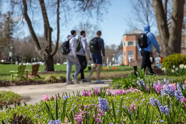 Four students walk along the sidewalk path on the campus quad as springtime flowers bloom in the foreground.