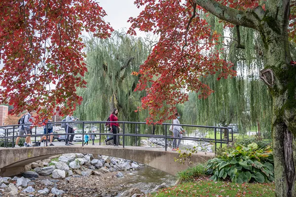 A group of students cross the bridge over Tyler Run with fall foliage surrounding them.