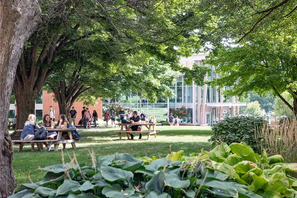 Several students are scattered across the main campus quad lawn, seated at picnic tables under lush green trees as they study and chat.