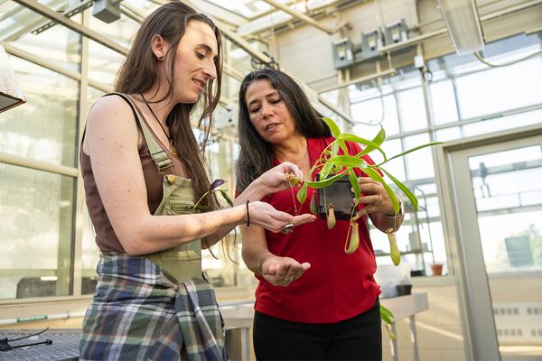 Professor AnaLu McVean holds up a plant in the greenhouse as a student examines it.